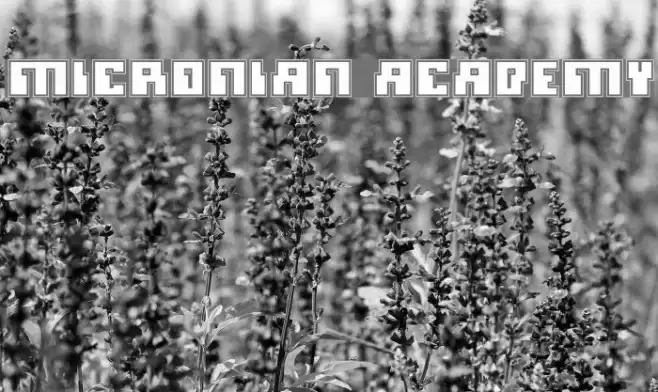 Micronian Academy Font examples