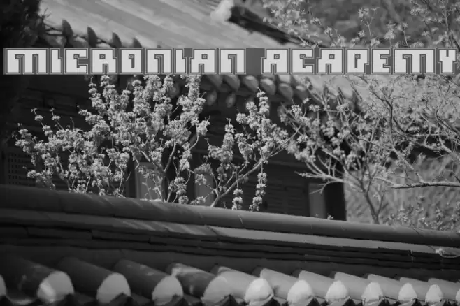 Micronian Academy Font examples