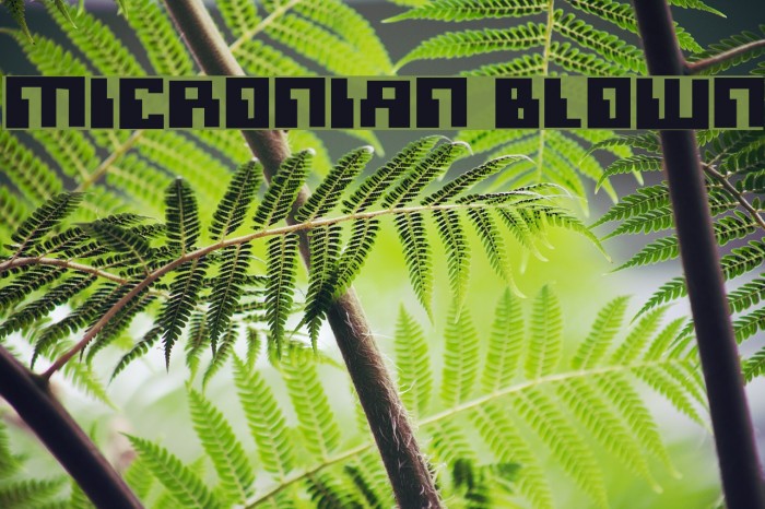 Micronian Blown Font examples