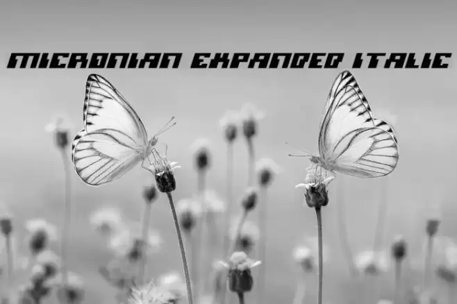 Micronian Expanded Italic Fonte examples