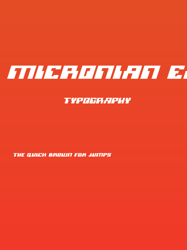 Micronian Expanded Italic Poster