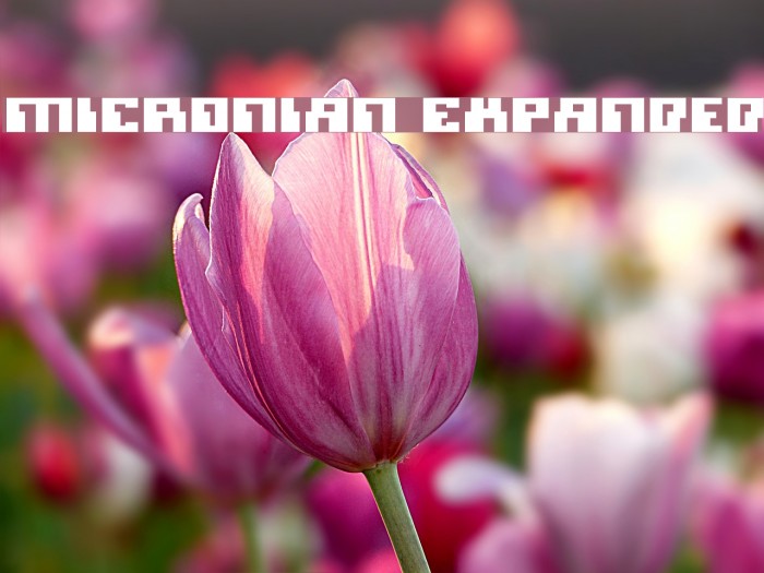Micronian Expanded Font examples