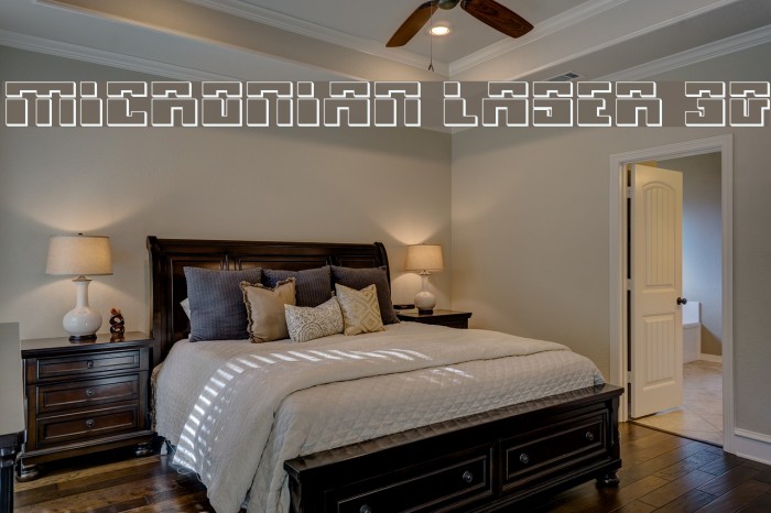 Micronian Laser 3D Example 1