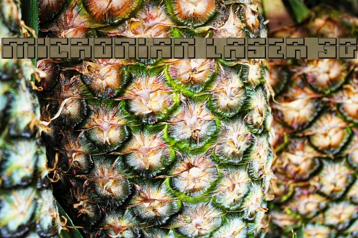 Micronian Laser 3D Example 3