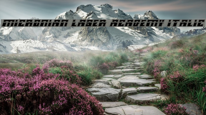 Micronian Laser Academy Italic Font examples