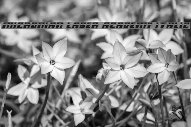 Micronian Laser Academy Italic Font examples