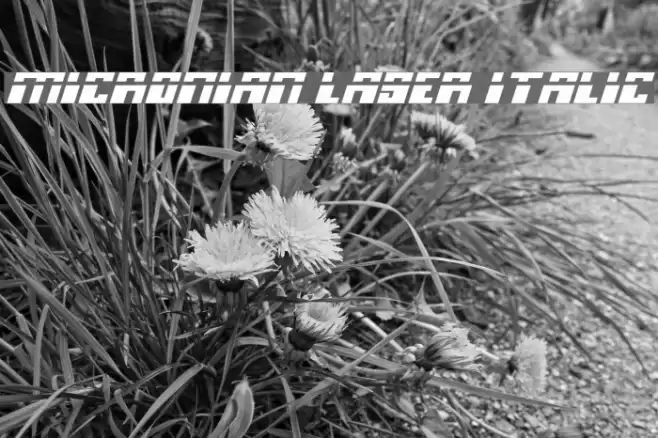 Micronian Laser Italic Font examples