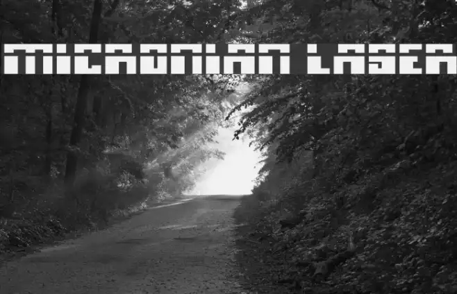 Micronian Laser Example 2