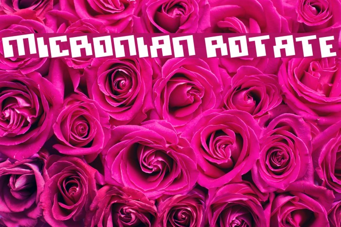 Micronian Rotate Polices examples