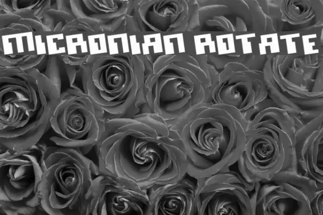 Micronian Rotate Polices examples