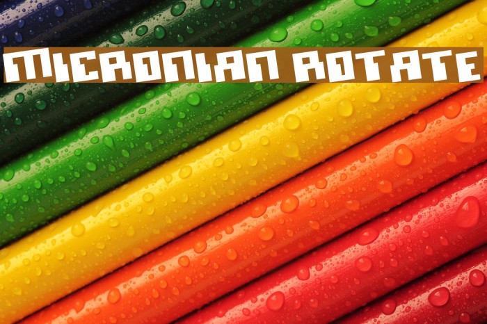 Micronian Rotate Polices examples