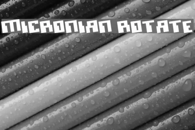 Micronian Rotate Polices examples