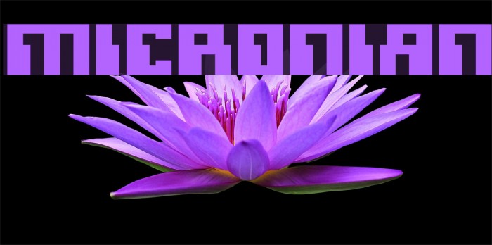 Micronian Schriftart examples