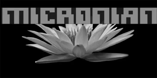 Micronian Font examples