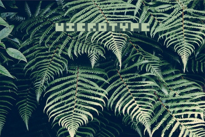 Microtype Font examples