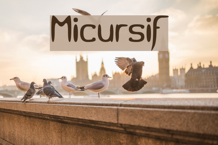 Micursif Example 1