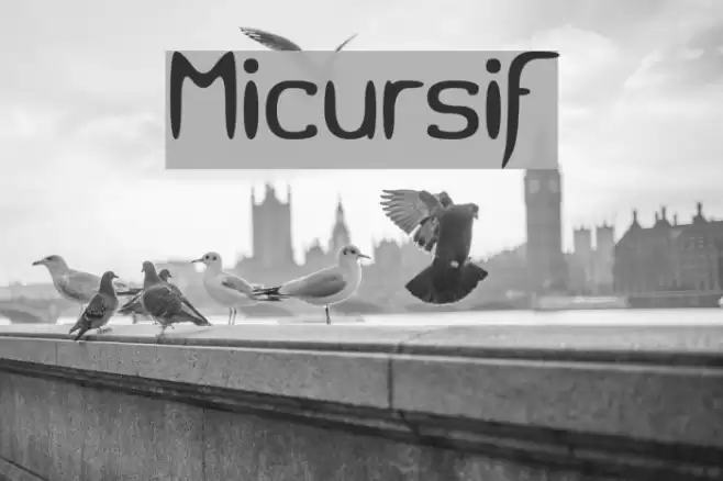 Micursif Font examples