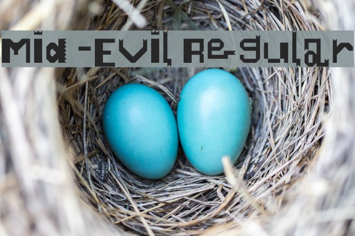 Mid-Evil Regular Example 2