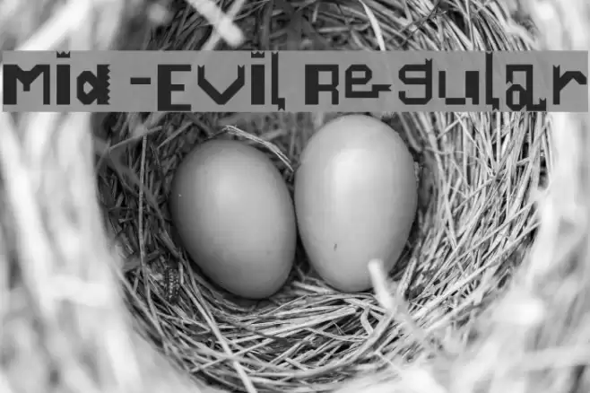 Mid-Evil Regular Font examples