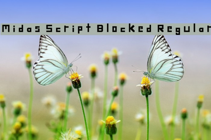 Midas Script Blocked Regular Font examples