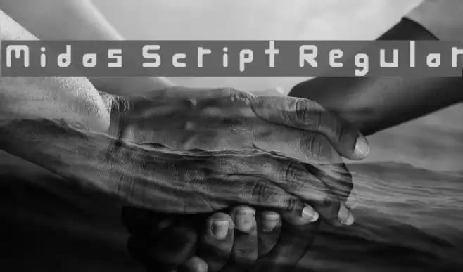 Midas Script Regular フォント examples