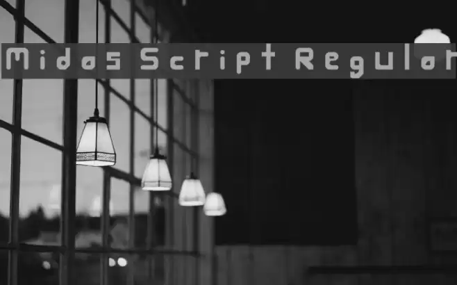Midas Script Regular フォント examples