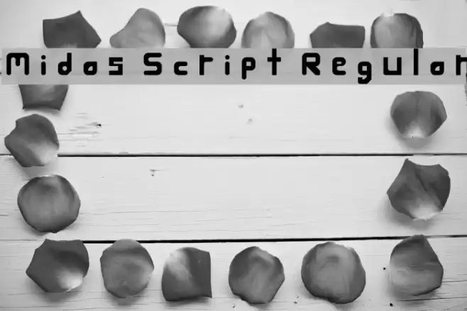 Midas Script Regular フォント examples