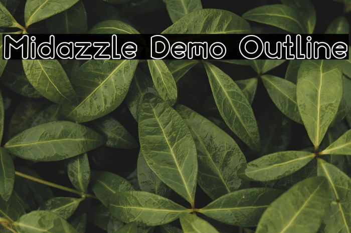 Midazzle Demo Outline Example 1