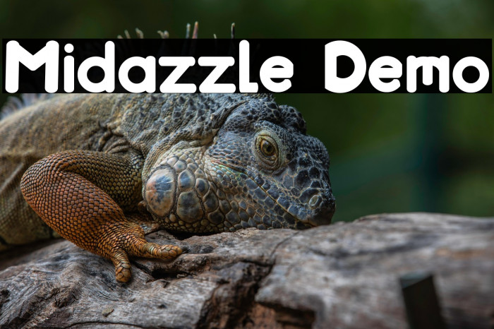 Midazzle Demo Example 1