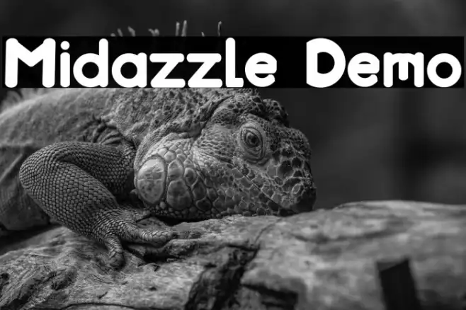 Midazzle Demo Example 1