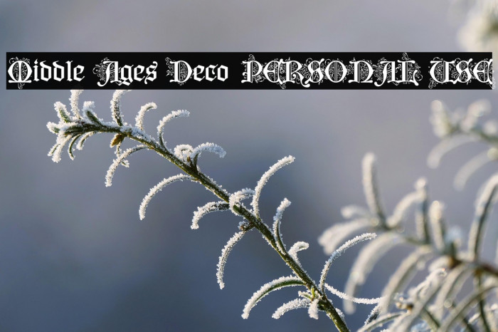 Middle Ages Deco PERSONAL USE Example 2