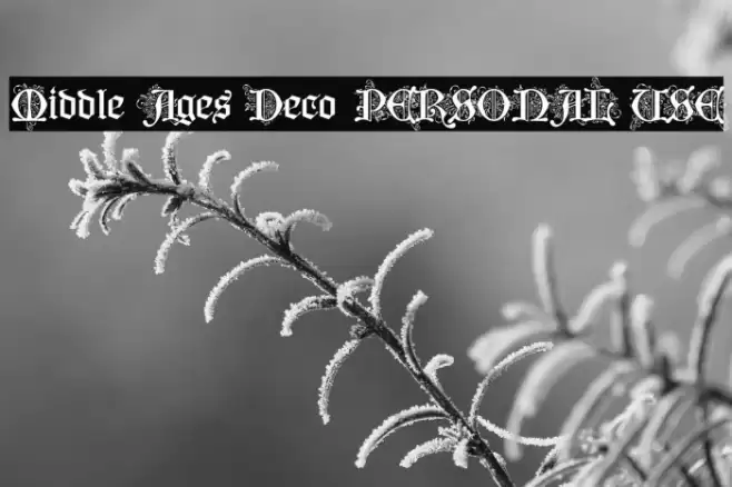 Middle Ages Deco PERSONAL USE Font examples