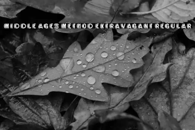 Middle Ages Method Extravagant Regular Example 1