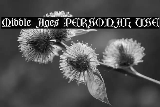 Middle Ages PERSONAL USE Font examples