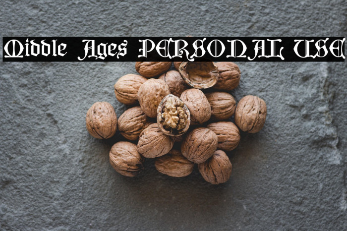 Middle Ages PERSONAL USE Example 2