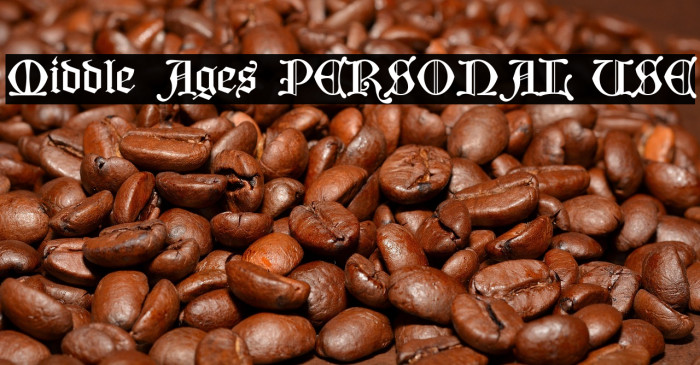 Middle Ages PERSONAL USE Example 3