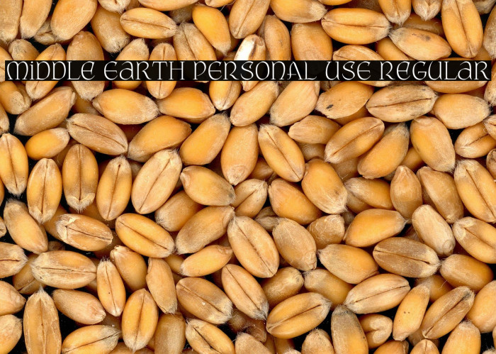 Middle Earth PERSONAL USE Regular Example 1