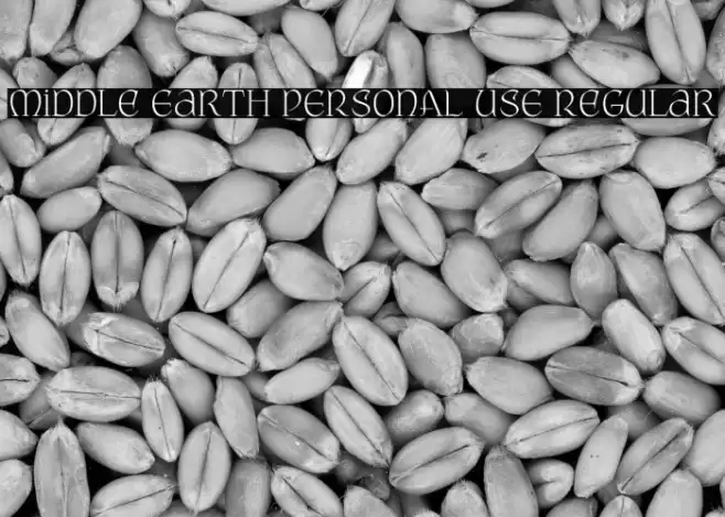 Middle Earth PERSONAL USE Regular Font examples