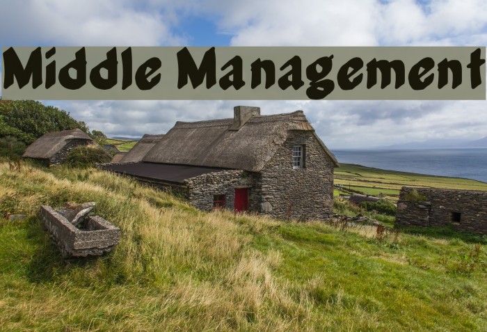 Middle Management Font examples