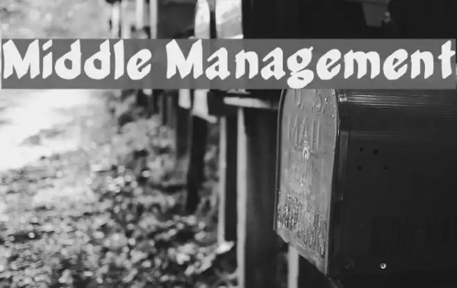 Middle Management Example 2