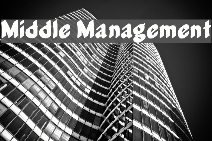 Middle Management Font examples
