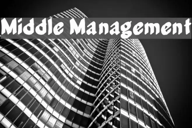 Middle Management Example 3