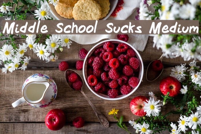 Middle School Sucks Medium Font examples