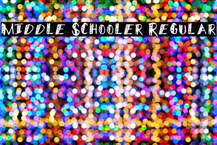 Middle Schooler Regular Font examples