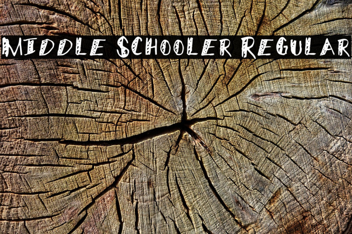 Middle Schooler Regular Font examples