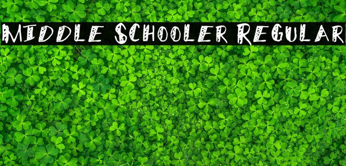 Middle Schooler Regular Font examples