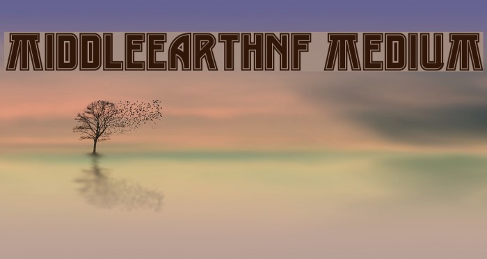 MiddleEarthNF Medium Font examples