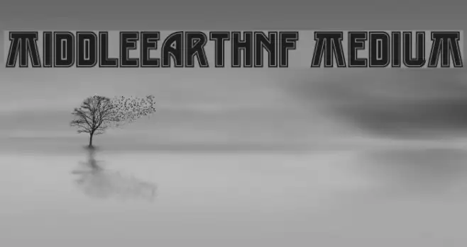 MiddleEarthNF Medium Example 3