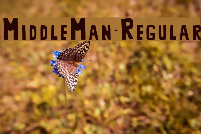 MiddleMan-Regular Font examples