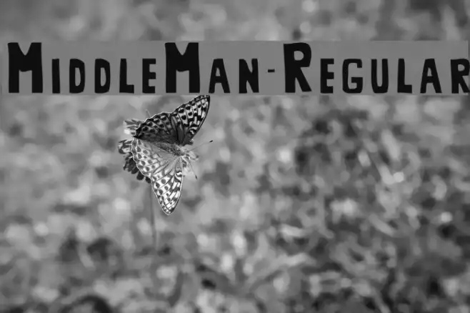 MiddleMan-Regular Example 1